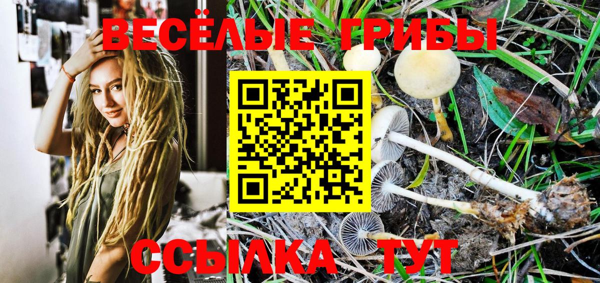 Псилоцибиновые грибы GOLDEN TEACHER  Вход с VPN  Шуя 